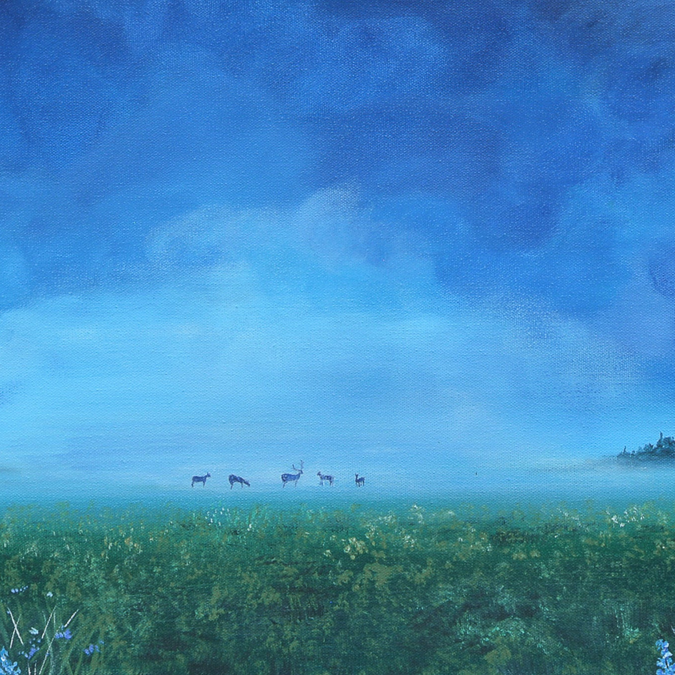 Misty Field