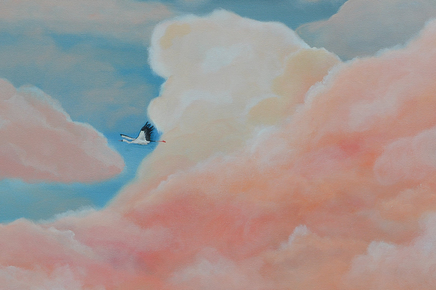 Flying Home